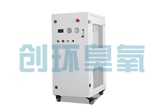 广东石斑鱼养殖水质调控完整指南：臭氧发生器配置与操作步骤