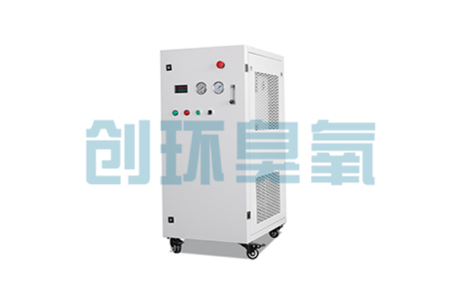 广东比传统换水更高效？臭氧发生器在石斑鱼养殖中的水质净化原理解析