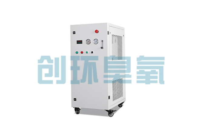 广东比传统换水更高效？臭氧发生器在石斑鱼养殖中的水质净化原理解析